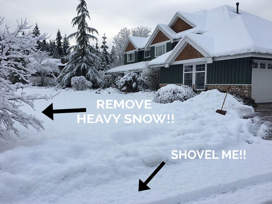 Shovel Your Snow